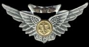 Air Crew Wings